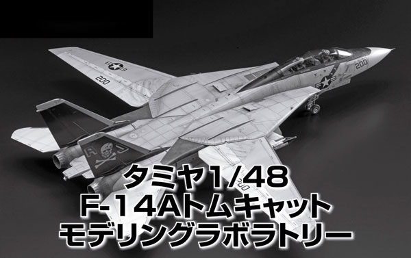 Tamiya F-14A 1/48 : r/modelmakers