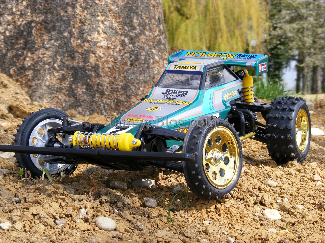 tamiya fox rc car